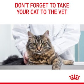 Royal canin hair and skin cat food top